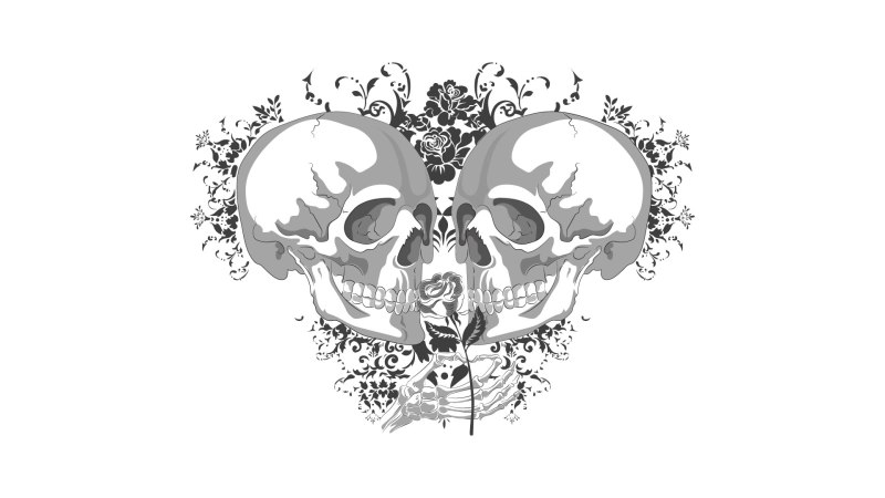 Illustrazione simbolica di due teschi con rosa centrale rappresentazione delle emozioni perdute e della dualità interiore